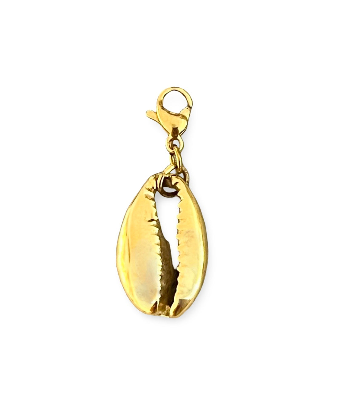 Charm coquillage cauri acier