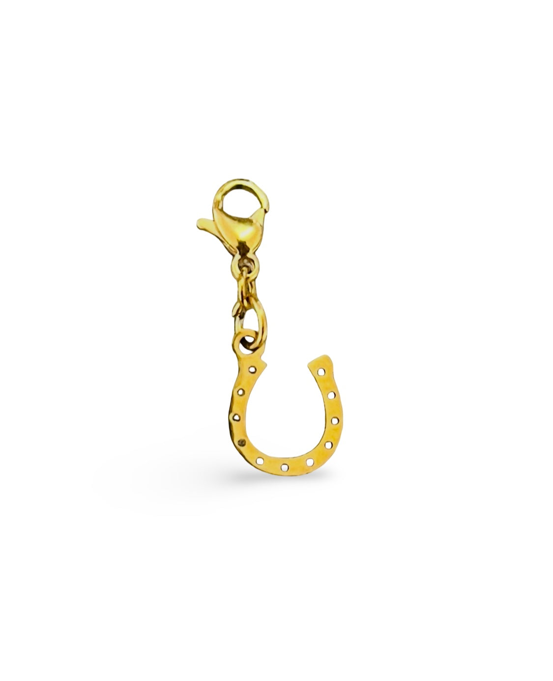 Charm fer à cheval